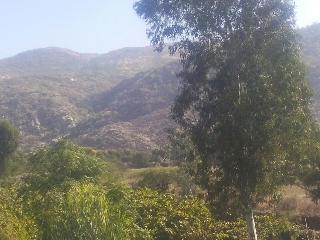Rishi Valley Resort Farmstay Pushkar Exterior foto